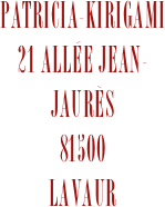 Patricia-kirigami
21 Allée Jean-Jaurès
81500
Lavaur